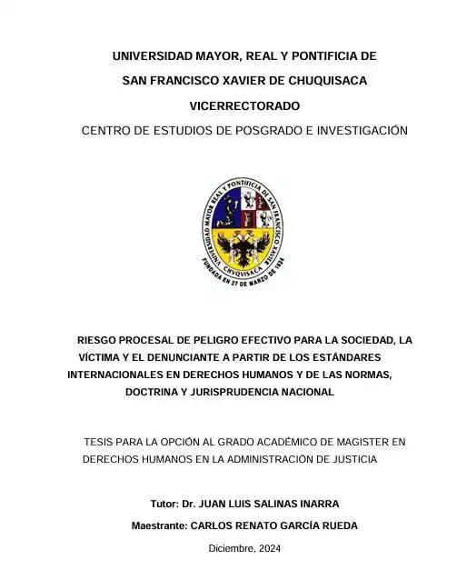 RIESGO PROCESAL DE PELIGRO EFECTIVO PARA LA SOCIEDAD, LA  VÍCTIMA Y EL DENUNCIANTE A PARTIR DE LOS ESTÁNDARES  INTERNACIONALES EN DERECHOS HUMANOS Y DE LAS NORMAS,  DOCTRINA Y JURISPRUDENCIA NACIONAL